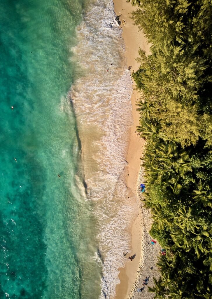 beach at seychelles aerial top view e1622969474508